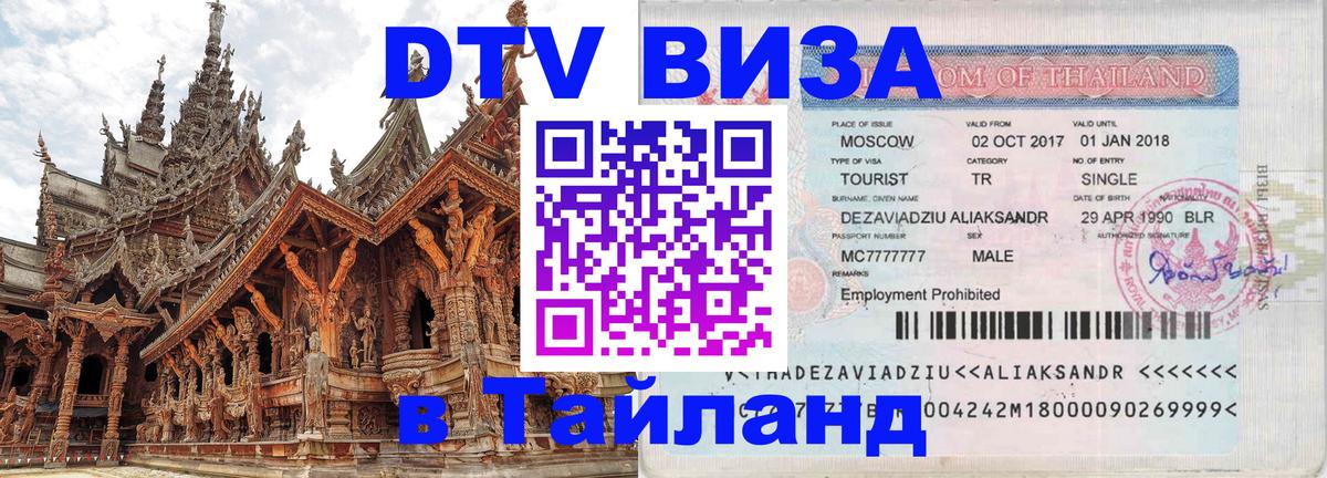 Оформление DTV визы под ключ: стоимость и тарифы, только загранпаспорт - 